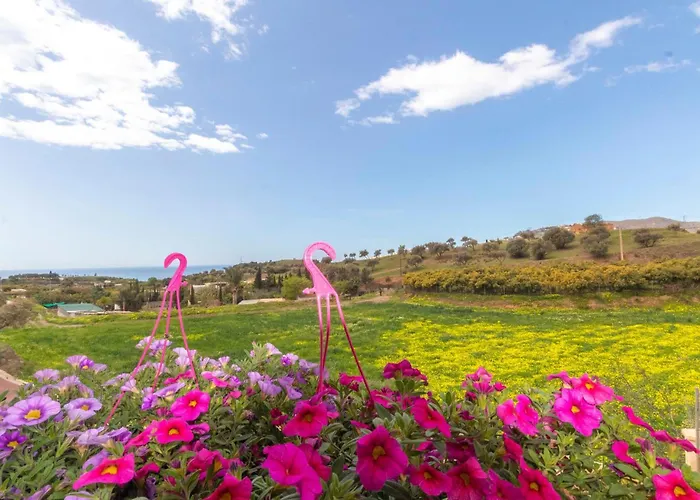 Cozy In With Kitchen נרחה