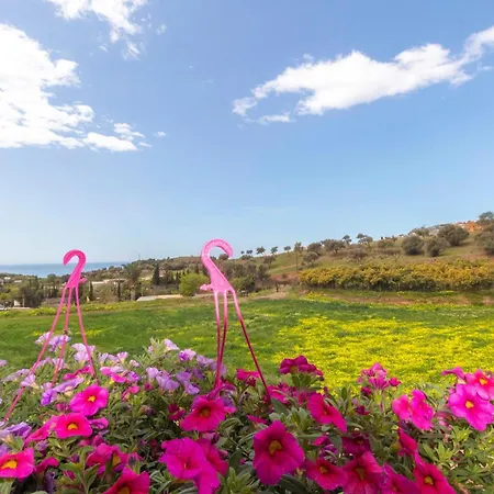 Cozy In With Kitchen 内尔哈